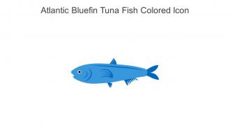 Atlantic Bluefin Tuna Fish Colored Icon In Powerpoint Pptx Png And Editable Eps Format