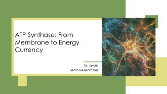 ATP Synthase From Membrane To Energy Currency PPT Example AT