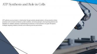 ATP Synthesis And Role In Cells Bioenergetic PPT Example ST AI SS