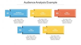 Audience Analysis Example Ppt Powerpoint Presentation Inspiration Maker Cpb