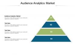 Audience analytics market ppt powerpoint presentation summary cpb
