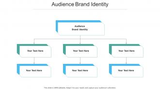 Audience brand identity ppt powerpoint presentation inspiration demonstration cpb