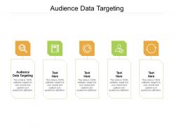 Audience data targeting ppt powerpoint presentation infographics background image cpb