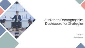 Audience Demographics Dashboard For Strategies PPT Information AT