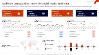Audience Demographics Report For Social Media Marketing