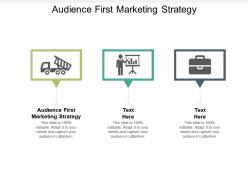 Audience first marketing strategy ppt powerpoint presentation infographics background images cpb