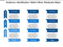 Audience Identification Matrix Minor Moderate Major