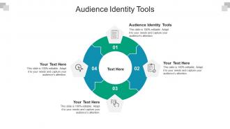 Audience identity tools ppt powerpoint presentation pictures ideas cpb