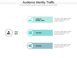 Audience identity traffic ppt powerpoint presentation portfolio infographic template cpb