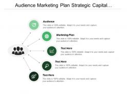 Audience Marketing Plan Strategic Capital Development Operational Model
