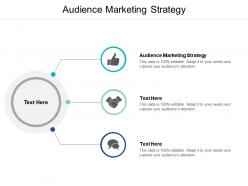 Audience marketing strategy ppt powerpoint presentation visual aids infographic template cpb