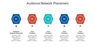 Audience network placement ppt powerpoint presentation diagram templates cpb