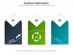 Audience optimization ppt powerpoint presentation layouts design inspiration cpb