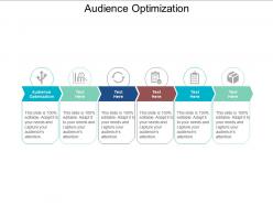 Audience optimization ppt powerpoint presentation outline pictures cpb