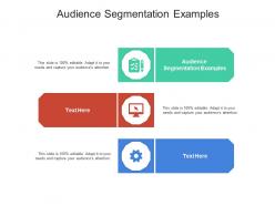 Audience segmentation examples ppt powerpoint presentation infographic template infographic template cpb