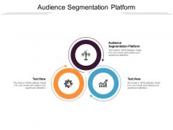 Audience segmentation platform ppt powerpoint presentation icon sample cpb