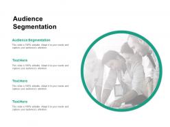 Audience segmentation ppt powerpoint presentation file pictures cpb