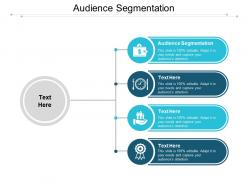 Audience segmentation ppt powerpoint presentation gallery example topics cpb