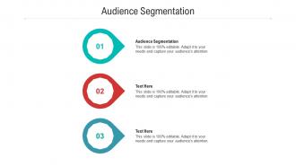 Audience segmentation ppt powerpoint presentation ideas smartart cpb