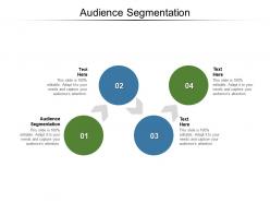 Audience segmentation ppt powerpoint presentation model background images cpb