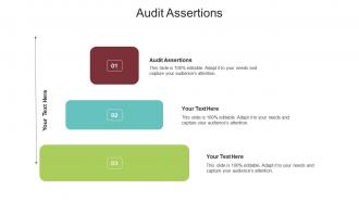 Audit assertions ppt powerpoint presentation file background designs cpb