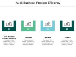 Audit business process efficiency ppt powerpoint presentation slides samples cpb