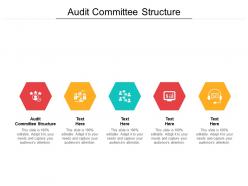 Audit committee structure ppt powerpoint presentation file images cpb