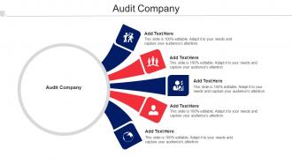 Audit Company Ppt Powerpoint Presentation Summary Design Inspiration Cpb