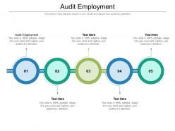 Audit employment ppt powerpoint presentation infographic template pictures cpb