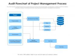 Audit flowchart of project management process
