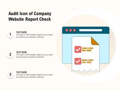 Audit icon of company website report check