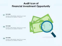 Audit icon of financial investment opportunity