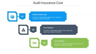 Audit Insurance Cost Ppt Powerpoint Presentation Inspiration Slides Cpb