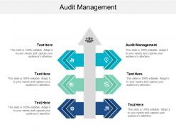 Audit management ppt powerpoint presentation file ideas cpb
