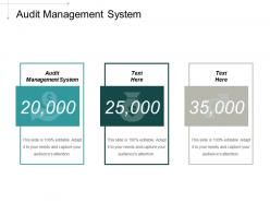 audit_management_system_ppt_powerpoint_presentation_portfolio_pictures_cpb_Slide01