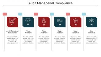 Audit Managerial Compliance Ppt Powerpoint Presentation Inspiration Background Images Cpb