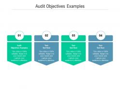 Audit objectives examples ppt powerpoint presentation summary introduction cpb