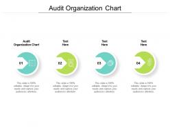 Audit organization chart ppt powerpoint presentation pictures graphics design cpb