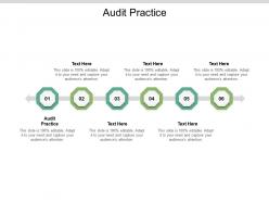 Audit practice ppt powerpoint presentation ideas cpb