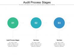 Audit process stages ppt powerpoint presentation professional diagrams cpb