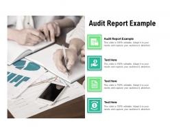 Audit report example ppt powerpoint presentation infographics themes cpb