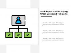 Audit report icon displaying check boxes and tick marks