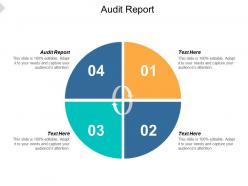 Audit report ppt powerpoint presentation file rules cpb