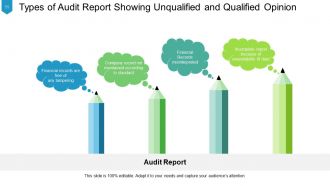 Audit Report Qualified Opinion Adverse Opinion Occupation Health And Safety