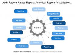 Audit reports usage reports analytical reports visualization layer