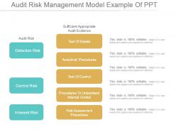 Audit Risk Management Model Example Of Ppt