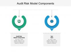 Audit risk model components ppt powerpoint presentation file outfit cpb