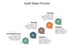 Audit sales process ppt powerpoint presentation summary ideas cpb