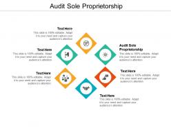 Audit sole proprietorship ppt powerpoint presentation outline portfolio cpb
