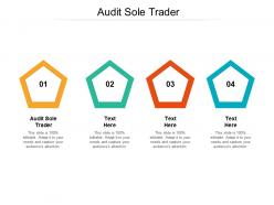 Audit sole trader ppt powerpoint presentation infographics good cpb